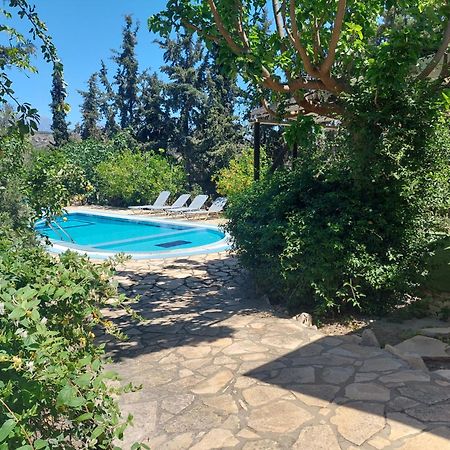 Villa Elia Pitsidia Exterior photo