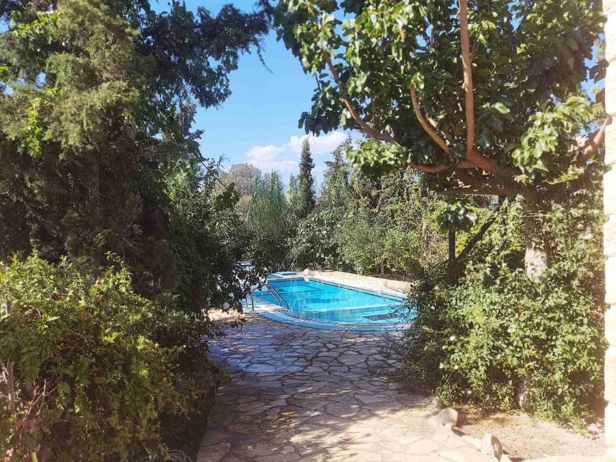 Villa Elia Pitsidia Exterior photo